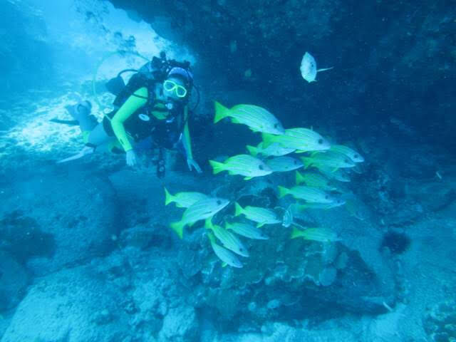 Wenxin scuba diving alongside a school of fish